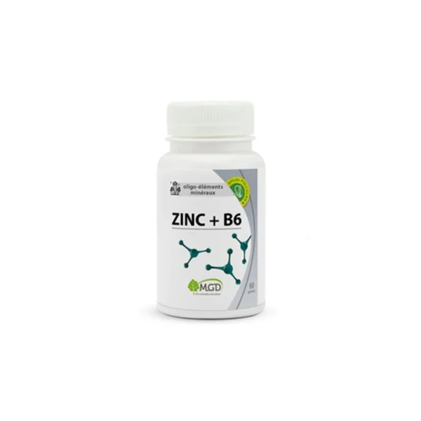 MGD ZINC+B6 60 GELULES