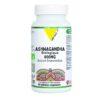 VITALL + ASHWAGANGHA BIOLOGIQUE 600 MG 60 GELULES