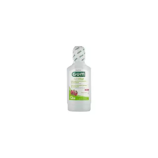 GUM BAIN DE BOUCHE ACTIVITAL 300ML REF 6061