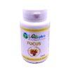 VERTUPLUS FUCUS 90 GELULES