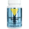 Lactobacillus gasseri 100mg 60caps